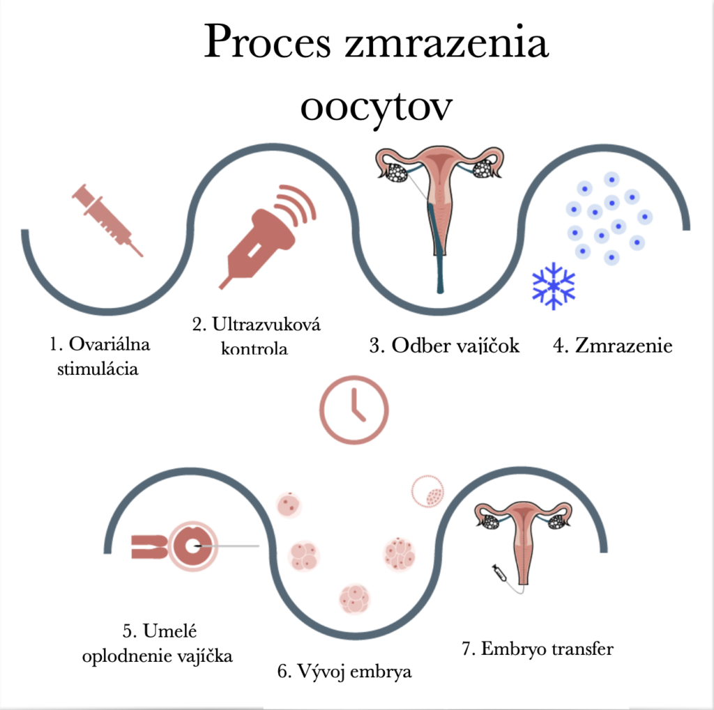 Ikony a krátke popisky zobrazujúce siedmich postupných krokov od hormonálnej stimulácie až po embryotransfer v procese zmrazenia oocytov.